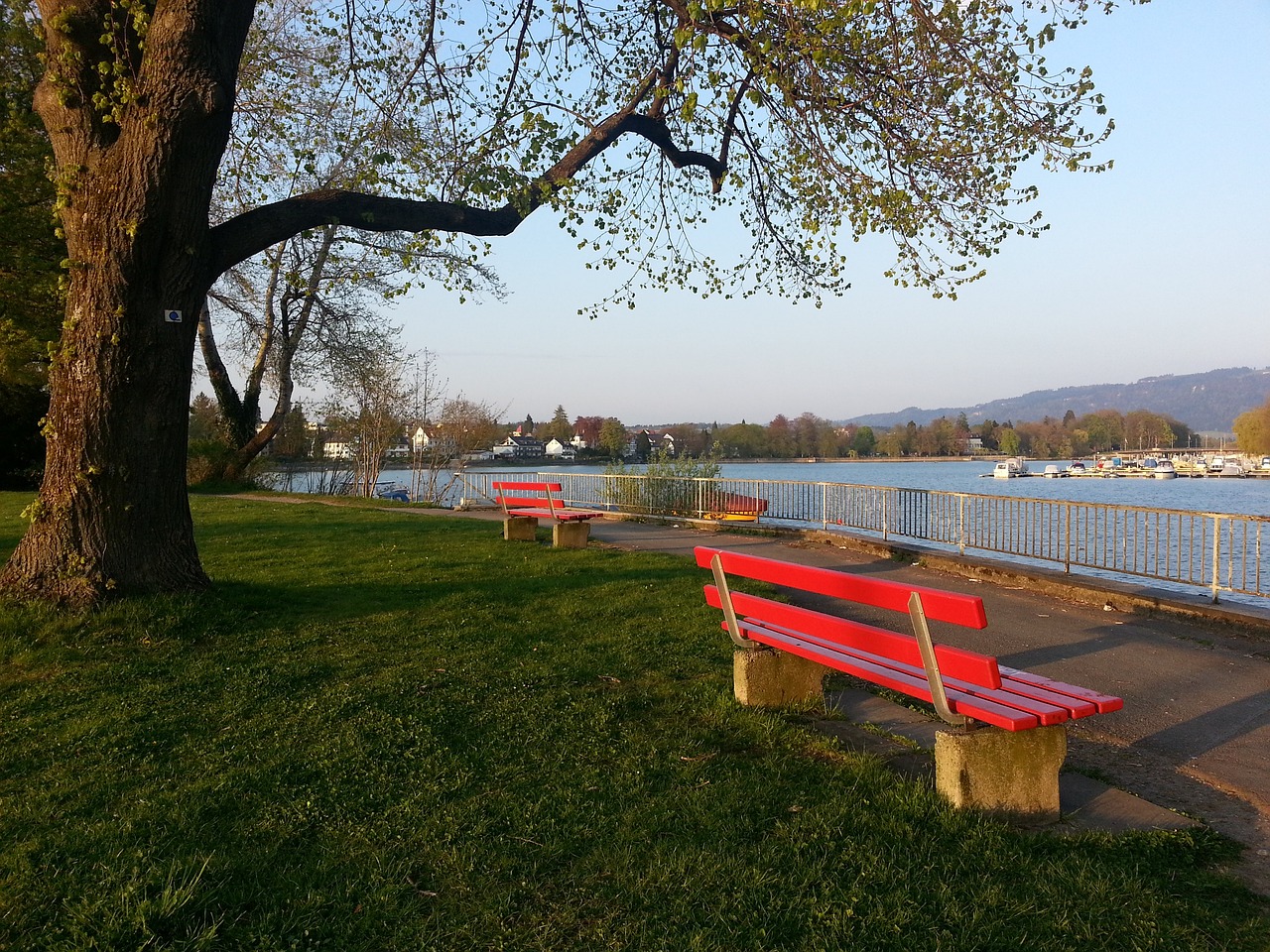 那我们来看 那我们来看