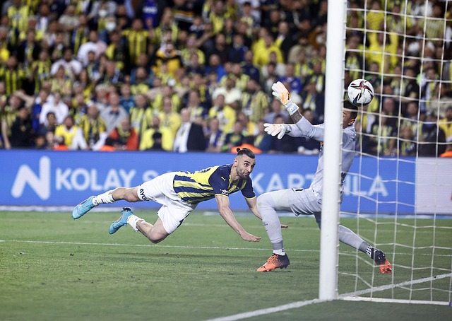 尊重粉丝的 尊重粉丝的