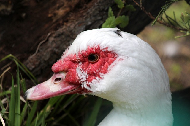 一位传奇的 一位传奇的