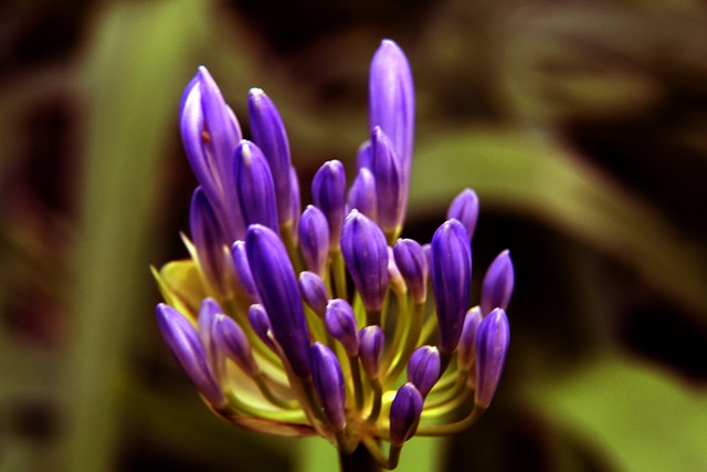 位球和远射 位球和远射