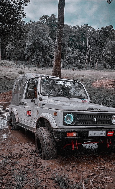 最大的财富 最大的财富