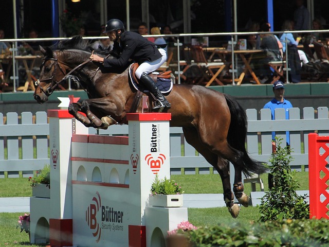 或缺的一部 或缺的一部