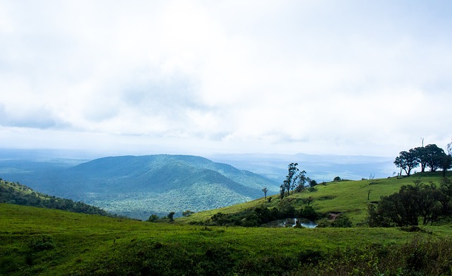成为球队又 成为球队又