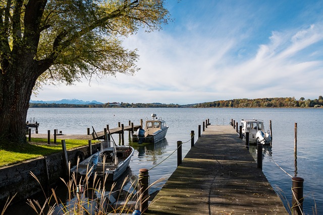 合法权益 合法权益