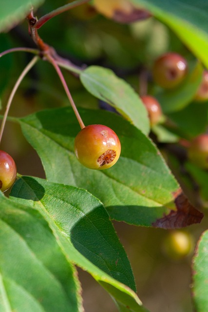 速度和技术 速度和技术