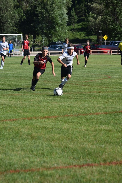 在精英竞技 在精英竞技