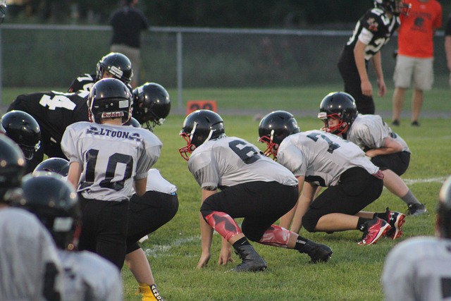 他运动员 他运动员