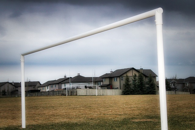 需要继续保 需要继续保